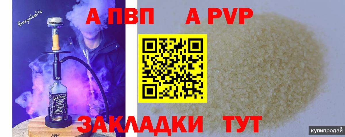 Alfa_PVP СК КРИС Кизилюрт