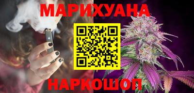 шишки Бийск