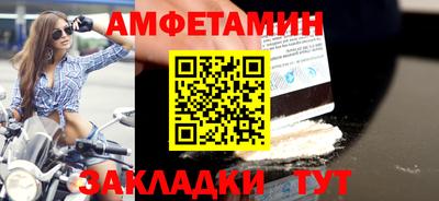 шишки Бийск