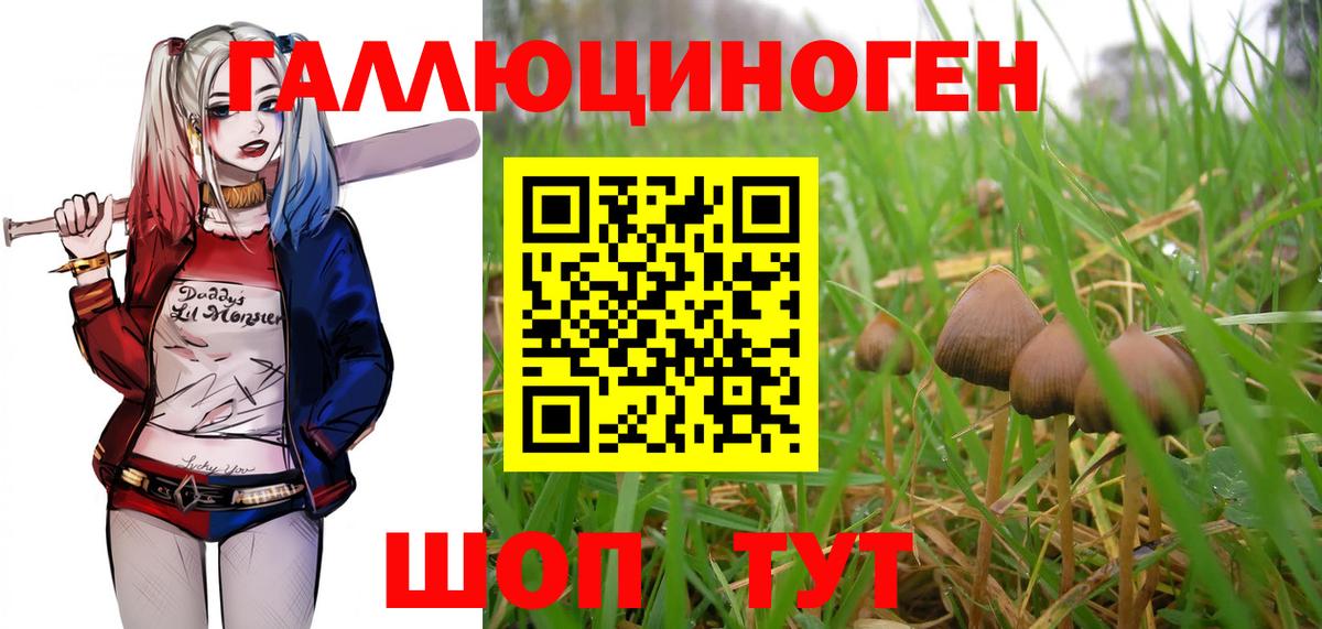 Псилоцибиновые грибы Magic Shrooms Кизилюрт